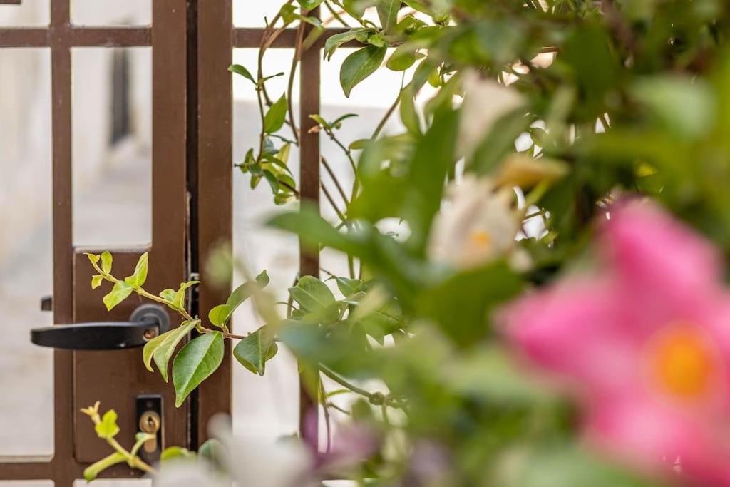 Cconforthotels Appartamento Domus Venezia Bari Kültér fotó